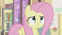 Size: 914x512 | Tagged: safe, screencap, fluttershy, pony, fluttershy leans in, g4, fluttershy is not amused, unamused