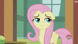 Size: 914x512 | Tagged: safe, screencap, fluttershy, pegasus, pony, fluttershy leans in, g4, cute, female, floppy ears, mare, shyabetes, smiling, solo