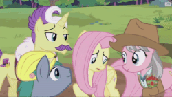 Size: 400x225 | Tagged: safe, screencap, dandy grandeur, fluttershy, hard hat (g4), wrangler, earth pony, pegasus, pony, unicorn, fluttershy leans in, g4, angry, animated, clothes, cowboy hat, female, gif, hard hat, hat, horn, male, mare, safari jacket, shirt, skunk stripe, spread wings, stallion, stetson, wings