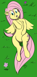 Size: 717x1500 | Tagged: safe, artist:sailoranna, fluttershy, pony, g4, female, on back, solo