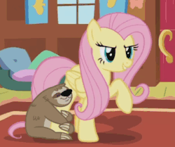 Size: 347x290 | Tagged: safe, screencap, fluttershy, lola the sloth, pony, sloth, fluttershy leans in, g4, animated, cute, female, gif, shyabetes, spread wings, talking, wings