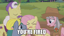 Size: 806x451 | Tagged: safe, screencap, dandy grandeur, fluttershy, hard hat (g4), wrangler, earth pony, pony, fluttershy leans in, g4, angry, animated, bowtie, clothes, cowboy hat, donald trump, female, gif, hard hat, hat, image macro, meme, safari jacket, shirt, skunk stripe, stetson