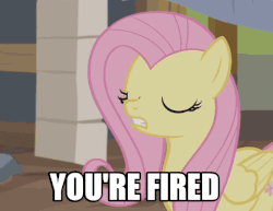Size: 583x451 | Tagged: safe, screencap, fluttershy, pegasus, pony, fluttershy leans in, g4, animated, female, gif, image macro, meme, solo