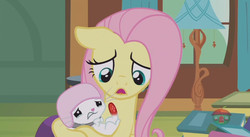 Size: 844x462 | Tagged: safe, screencap, angel bunny, fluttershy, pony, rabbit, fluttershy leans in, g4, animal, injured