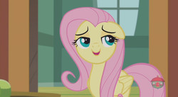 Size: 844x462 | Tagged: safe, screencap, fluttershy, pegasus, pony, fluttershy leans in, g4, cute, female, floppy ears, folded wings, mare, open mouth, shyabetes, smiling, solo, wings
