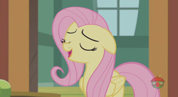 Size: 844x462 | Tagged: safe, screencap, fluttershy, pegasus, pony, fluttershy leans in, g4, cute, eyes closed, female, floppy ears, folded wings, mare, open mouth, shyabetes, solo, wings