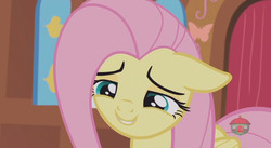 Size: 844x462 | Tagged: safe, screencap, fluttershy, pegasus, pony, fluttershy leans in, g4, cute, female, floppy ears, mare, shyabetes, smiling, solo