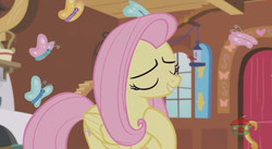 Size: 844x462 | Tagged: safe, screencap, fluttershy, pony, fluttershy leans in, g4, female, mare, solo