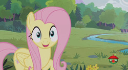 Size: 844x462 | Tagged: safe, screencap, fluttershy, pegasus, pony, fluttershy leans in, g4, cute, female, folded wings, looking at you, mare, open mouth, raised hoof, shyabetes, smiling, solo, wings