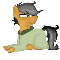 Size: 900x900 | Tagged: safe, artist:binkyt11, quibble pants, pony, g4, bad anatomy, clothes, male, messy mane, robe, solo