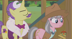 Size: 844x462 | Tagged: safe, screencap, dandy grandeur, wrangler, earth pony, pony, unicorn, fluttershy leans in, g4, angry, bowtie, clothes, cowboy hat, duo, female, hat, insulted, male, mare, safari jacket, shirt, skunk stripe, stallion, stetson