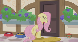 Size: 844x462 | Tagged: safe, screencap, fluttershy, pony, fluttershy leans in, g4, door, female, mare, solo