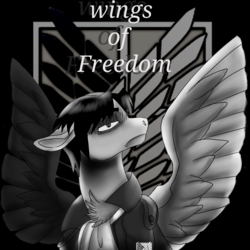 Size: 1550x1550 | Tagged: safe, artist:brainiac, pony, attack on titan, black and white, chest fluff, clothes, crossover, floppy ears, grayscale, levi ackerman, male, monochrome, solo, stallion, survey corps, text, wings of freedom