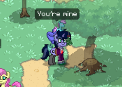 Size: 698x496 | Tagged: safe, oc, oc only, oc:purple flix, pony, pony town, accessory, clothes, fancy, male, mistletoe, plushie, screenshots, socks, solo, that face, tree