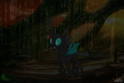 Size: 959x639 | Tagged: safe, artist:wisdomvision f., changeling, forest, hive, lcac, love changes a changeling, solo