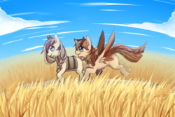 Size: 1280x853 | Tagged: safe, artist:mousu, oc, oc only, earth pony, pegasus, pony, crops, duo, flying, profile, road, walking