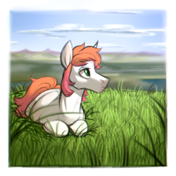 Size: 900x900 | Tagged: safe, artist:kapusha-blr, oc, oc only, earth pony, pony, grass, solo