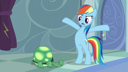 Size: 1280x720 | Tagged: safe, screencap, rainbow dash, tank, pony, g4, tanks for the memories, bipedal, standing