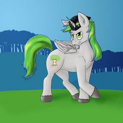 Size: 2500x2500 | Tagged: safe, artist:lookabombaboo, oc, oc only, oc:tree time, alicorn, pony, alicorn oc, hat, high res, simple background, solo
