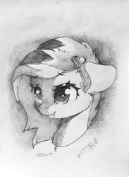 Size: 837x1142 | Tagged: safe, artist:freeedon, oc, oc only, pony, bust, female, floppy ears, grayscale, grin, mare, monochrome, portrait, smiling, solo, traditional art
