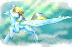 Size: 8000x5200 | Tagged: safe, artist:fizzwings, rainbow dash, pegasus, pony, g4, absurd resolution, backwards cutie mark, female, flying, grin, large wings, looking back, mare, smiling, solo, spread wings, wings
