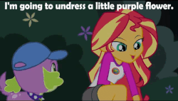 Size: 512x290 | Tagged: safe, edit, edited screencap, screencap, spike, spike the regular dog, sunset shimmer, dog, equestria girls, g4, my little pony equestria girls: legend of everfree, animated, camp everfree outfits, cap, caption, clothes, female, flower, gem dust, gif, hat, implied sex, innuendo, male, parody, ship:sunsetspike, shipping, shorts, straight