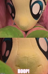 Size: 500x765 | Tagged: safe, artist:natureshy, artist:qtpony, fluttershy, g4, adorable face, boop, cute, face, irl, life size, noseboop, photo, plushie