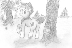 Size: 2936x1971 | Tagged: safe, artist:spackle, oc, oc only, oc:buck evergreen, bucket, looking back, male, pinecone, sap, smiling, solo, traditional art, tree