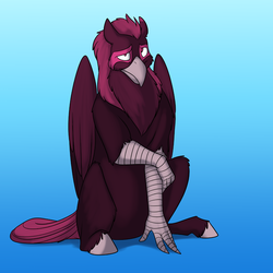 Size: 1000x1000 | Tagged: safe, artist:foxenawolf, oc, oc only, oc:hypotenuse, classical hippogriff, hippogriff, fanfic:quantum gallop, disguise, disguised changeling, fanfic art, shy, solo