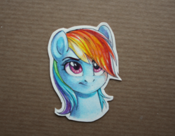 Size: 1280x998 | Tagged: safe, artist:sapraitlond, rainbow dash, pegasus, pony, g4, bust, craft, female, grin, mare, papercraft, portrait, smiling, solo, traditional art