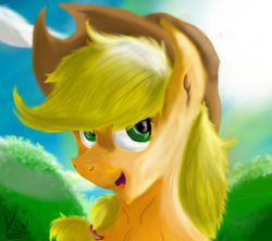 Size: 861x760 | Tagged: safe, artist:zeezou2, applejack, earth pony, pony, g4, female, hat, looking up, mare, signature, sky, smiling, solo, sun