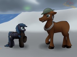 Size: 1280x955 | Tagged: safe, artist:the-furry-railfan, oc, oc only, oc:jean, oc:night strike, moose, pegasus, pony, fallout equestria, fallout equestria: empty quiver, brodie helmet, clothes, ear piercing, earring, helmet, horse collar, jacket, jewelry, maple leaf, medic, ocean, outdoors, overcast, piercing, size difference, snow, story, wind chime