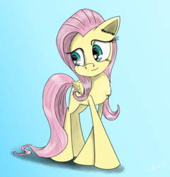 Size: 1186x1235 | Tagged: safe, artist:chopsticks, fluttershy, pegasus, pony, g4, chest fluff, female, gradient background, mare, smiling, solo