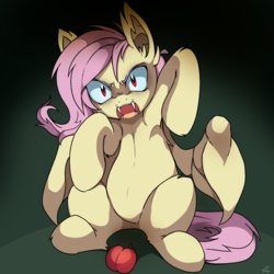 Size: 900x900 | Tagged: safe, artist:pekou, fluttershy, bat pony, pony, bats!, g4, 2014, aggressive, angry, apple, armpits, bat ears, bat ponified, belly button, fangs, female, flutterbat, food, looking at you, mare, open mouth, race swap, sitting, solo