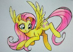 Size: 1280x917 | Tagged: safe, artist:sapraitlond, fluttershy, pegasus, pony, g4, female, flying, solo, traditional art