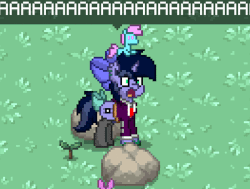 Size: 680x515 | Tagged: artist needed, safe, oc, oc only, oc:purple flix, pony, pony town, aaaaaaaaaa, animated, clothes, gif, pixel art, screaming, screenshots, shocked, solo, sprite, vibrating, video game, wtf