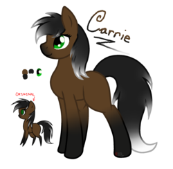 Size: 1721x1677 | Tagged: safe, artist:anxiouslilnerd, oc, oc only, oc:carrie, earth pony, horse, pony, female, mare, original vector, reference sheet, simple background, transparent background, vector