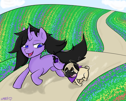 Size: 1280x1024 | Tagged: safe, artist:umbraamethyst, oc, oc only, oc:umbra amethyst, angel, dog, pony, pug, unicorn, acceptance, bandana, best friends, colored pupils, curved horn, cute, field, flower, halo, happy, horn, path, pet, pet oc, ponysona, rainbow, running, tongue out