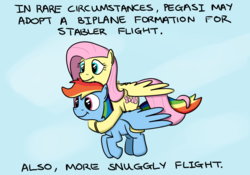Size: 1200x840 | Tagged: safe, artist:hoofclid, fluttershy, rainbow dash, pegasus, pony, g4, :t, biplane, cute, duo, fact, female, fluffy, fluttershy riding rainbow dash, flying, hug, intertwined tails, lesbian, mare, ponies riding ponies, pony fact, riding, ship:flutterdash, shipping, sky, smiling, spread wings, the more you know, wings