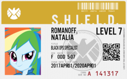 Size: 1920x1200 | Tagged: safe, rainbow dash, equestria girls, g4, agents of shield, ashleigh ball, black widow (marvel), id card, voice actor joke