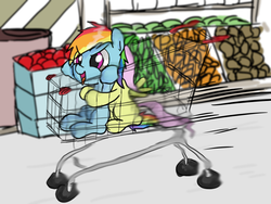 Size: 800x600 | Tagged: safe, artist:ehfkdl569, fluttershy, rainbow dash, pony, g4, duo, female, filly, shopping cart