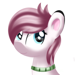 Size: 2000x2000 | Tagged: safe, artist:ilynalta, oc, oc only, oc:sleepy panda, pony, bust, female, high res, mare, portrait, simple background, solo, transparent background