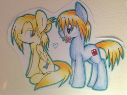 Size: 2592x1936 | Tagged: safe, artist:rainbowflamecharge47, pony, annie leonhardt, armin arlert, aruani, attack on titan, ponified, shipping