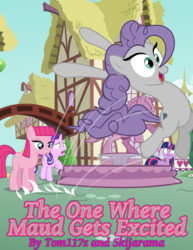 Size: 2318x3000 | Tagged: safe, artist:tom117z, maud pie, pinkie pie, starlight glimmer, twilight sparkle, alicorn, pony, fanfic:the one where maud gets excited, g4, rock solid friendship, alternate hairstyle, behaving like maud pie, behaving like pinkie pie, faic, fanfic, fanfic art, fanfic cover, fountain, happy, high res, maudie pie, missing accessory, personality swap, pinkamena diane pie, smiling, twilight sparkle (alicorn), when she doesn't smile, when she smiles, wrong cutie mark, xk-class end-of-the-world scenario