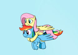 Size: 800x560 | Tagged: safe, artist:hoofclid, edit, editor:totallynotanoob, fluttershy, rainbow dash, pegasus, pony, g4, animated, biplane, blinking, cloud, cute, female, fluffy, fluttershy riding rainbow dash, flying, gif, hug, intertwined tails, lesbian, mare, ponies riding ponies, riding, ship:flutterdash, shipping, sky, smiling, spread wings, wings