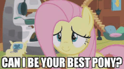 Size: 512x286 | Tagged: safe, edit, edited screencap, screencap, fluttershy, butterfly, pony, fluttershy leans in, g4, animated, best pony, bronybait, cute, eye shimmer, female, floppy ears, gif, shyabetes, solo, wide eyes