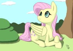 Size: 4960x3508 | Tagged: safe, artist:sgrayda, fluttershy, pony, g4, absurd resolution, female, outdoors, prone, solo
