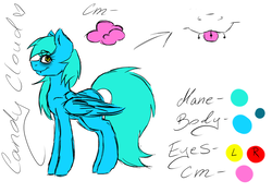 Size: 1024x724 | Tagged: safe, artist:pinkcloudhugger, oc, oc only, oc:candy cloud, pony, reference sheet