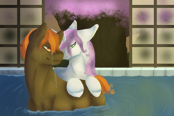 Size: 900x600 | Tagged: safe, artist:tess-a-doodle, button mash, sweetie belle, pony, g4, bath, bathing, female, male, older, ship:sweetiemash, shipping, straight, wet mane