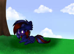 Size: 3262x2369 | Tagged: safe, artist:pinkcloudhugger, oc, oc only, pony, high res